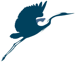 Blue Heron Web Design